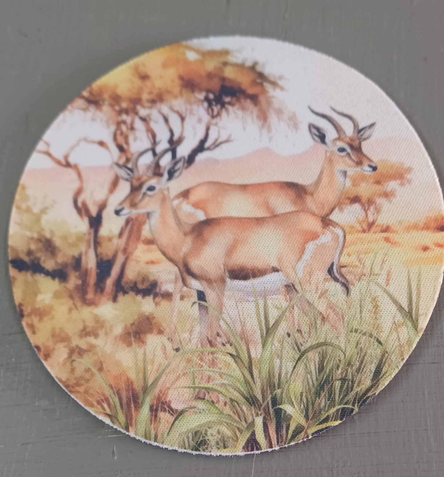 Coasters (Set of 4)