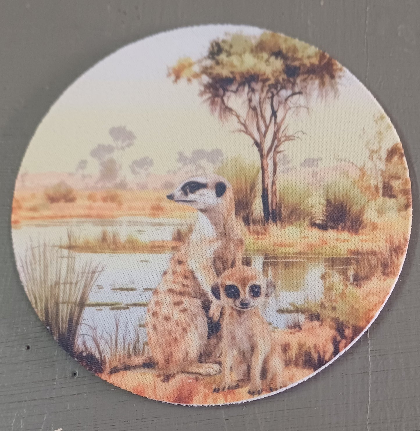 Coasters (Set of 4)