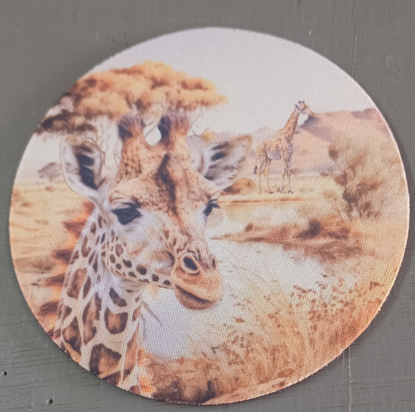Coasters (Set of 4)